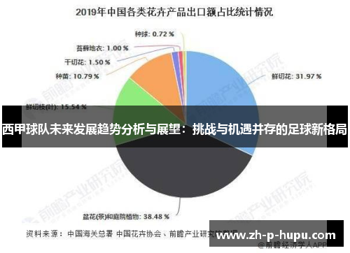 西甲球队未来发展趋势分析与展望：挑战与机遇并存的足球新格局