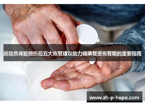 运动员肾脏损伤后五大恢复建议助力健康复原恢复期的重要指南