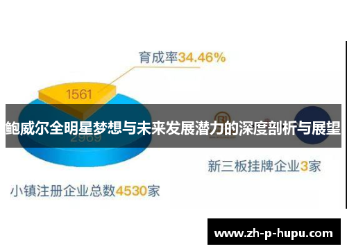 鲍威尔全明星梦想与未来发展潜力的深度剖析与展望