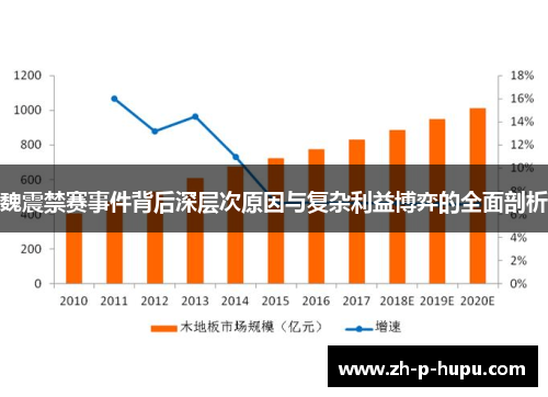 魏震禁赛事件背后深层次原因与复杂利益博弈的全面剖析